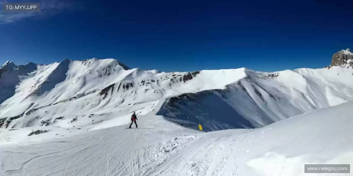 📺超清画质,实时直击!💥一键开启,赛事永不缺席!